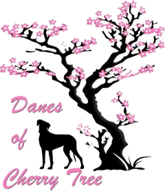 Danes of Cherry Tree